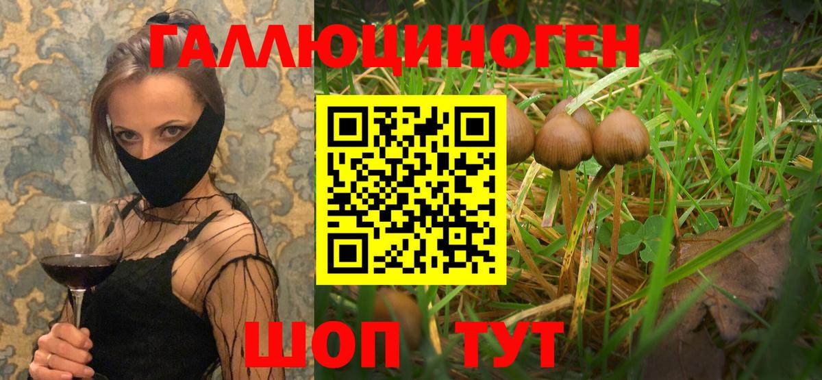 Псилоцибиновые грибы мухоморы  Вход с VPN  Псилоцибиновые грибы Psilocybine cubensis  Феодосия 